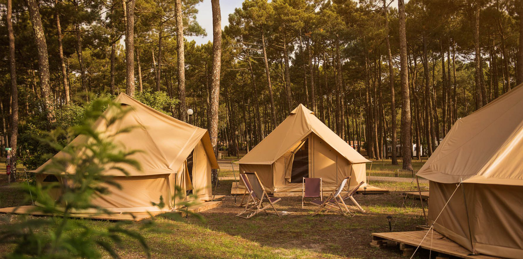 Glamping Resort