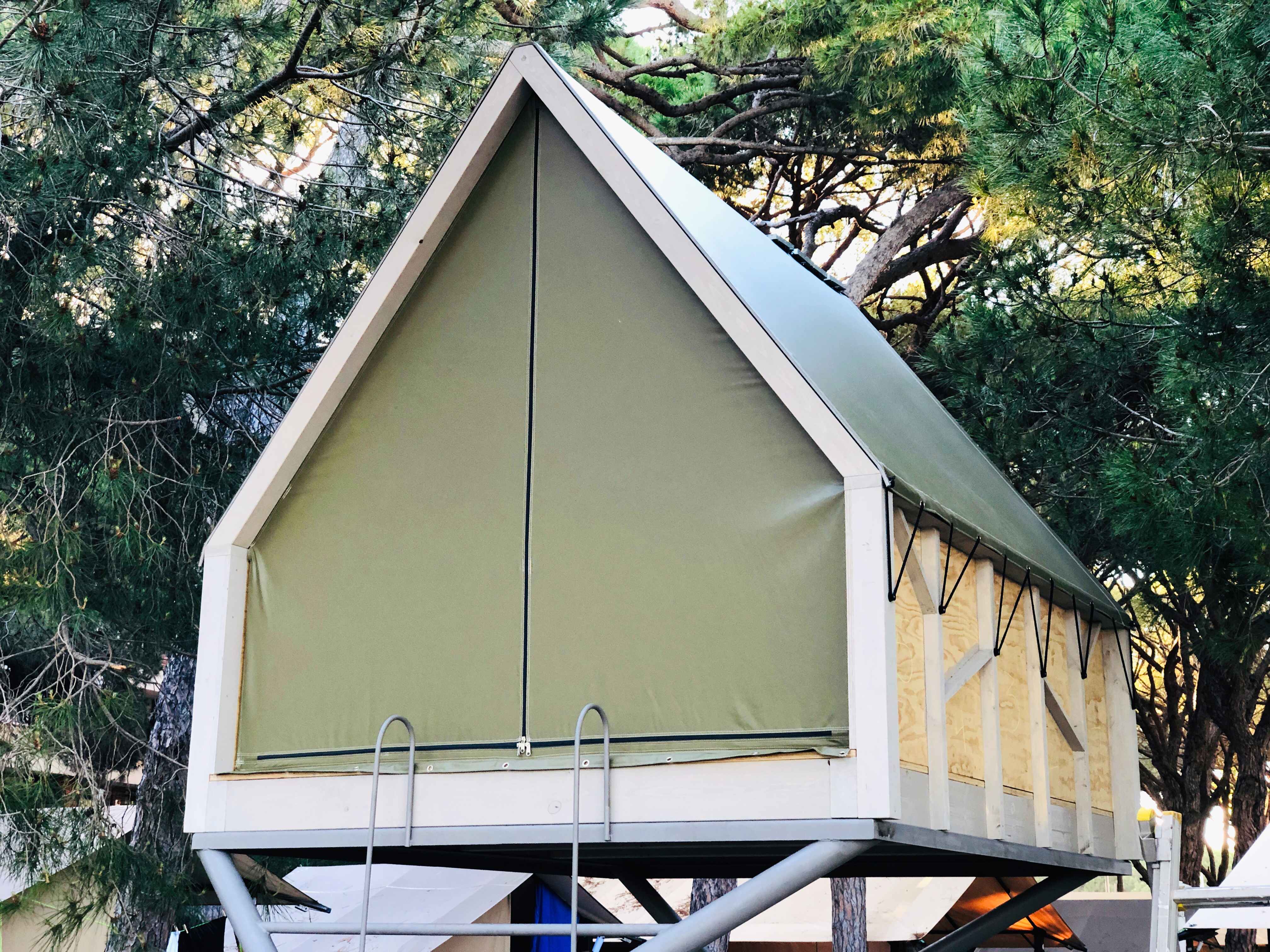 Tree House Glamping - 1